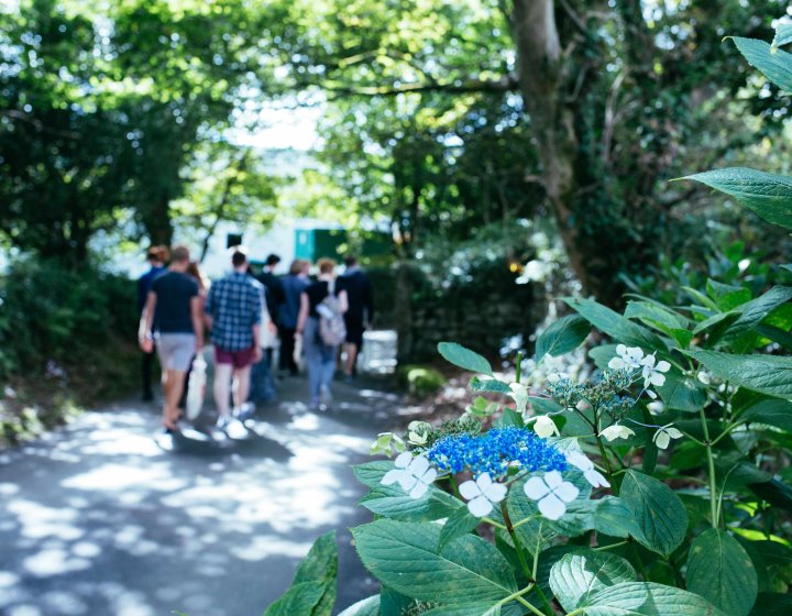 Blue and white flowers are seen in the foreground, with students walking down a pathway in the background
