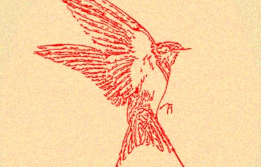 An illustrative image of a bird with an outline in bright red against a background of a sandpaper texture